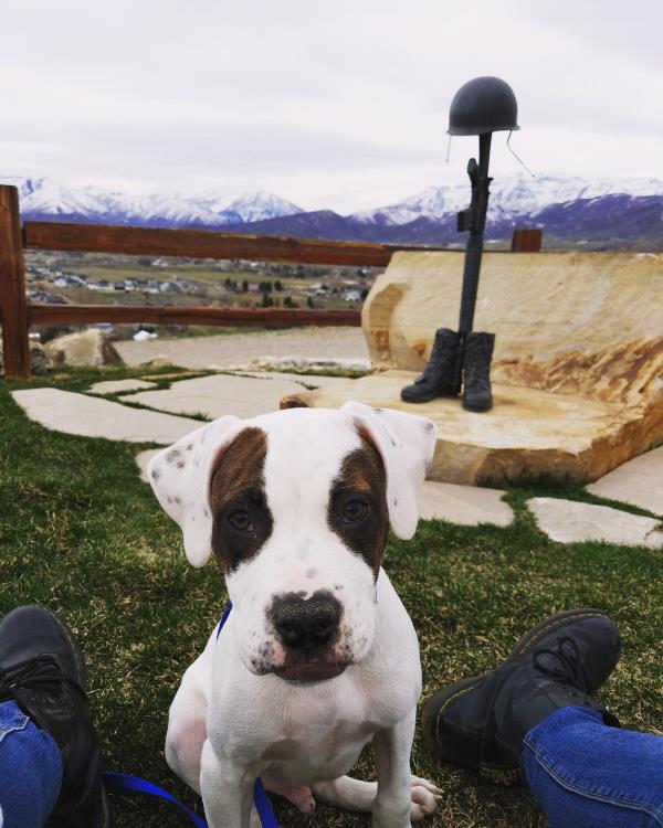 /Images/uploads/Humane Society of Utah/HSU2018/entries/4142thumb.jpg